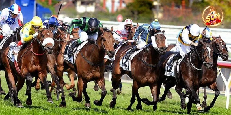Mẹo Cá Cược Đua Ngựa Sunwin: Cược Thắng, Ăn Tiền Liền Tay 1 Mẹo Cá Cược Đua Ngựa Sunwin: Cược Thắng, Ăn Tiền Liền Tay